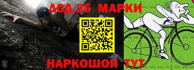индика Вязьма