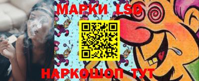 индика Вязьма