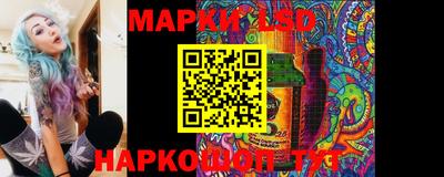 индика Вязьма
