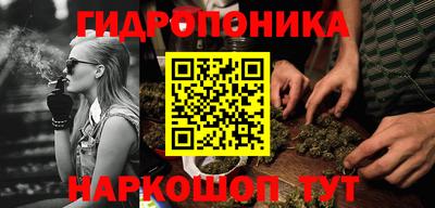 индика Вязьма