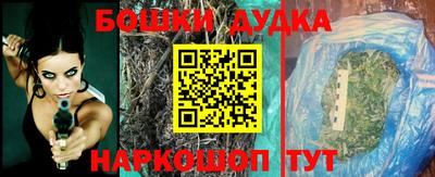 индика Вязьма