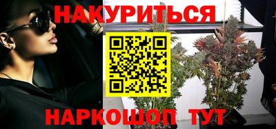 индика Вязьма
