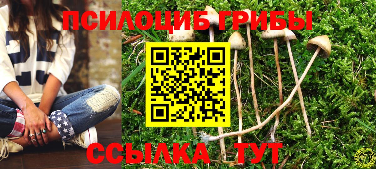 Псилоцибиновые грибы прущие грибы  Вход с VPN  Анжеро-Судженск  купить наркоту  Галлюциногенные грибы Magic Shrooms 