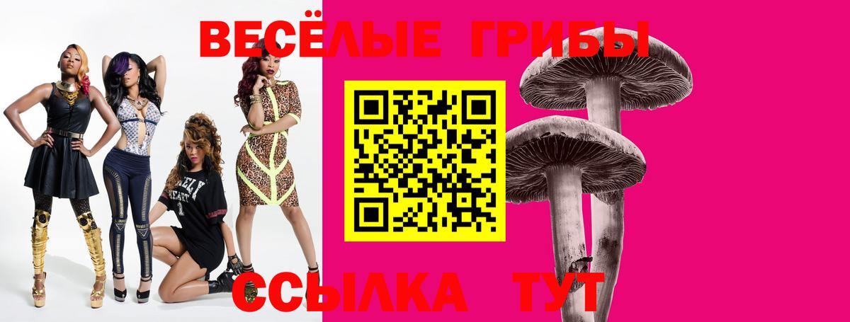 Псилоцибиновые грибы ЛСД Анжеро-Судженск